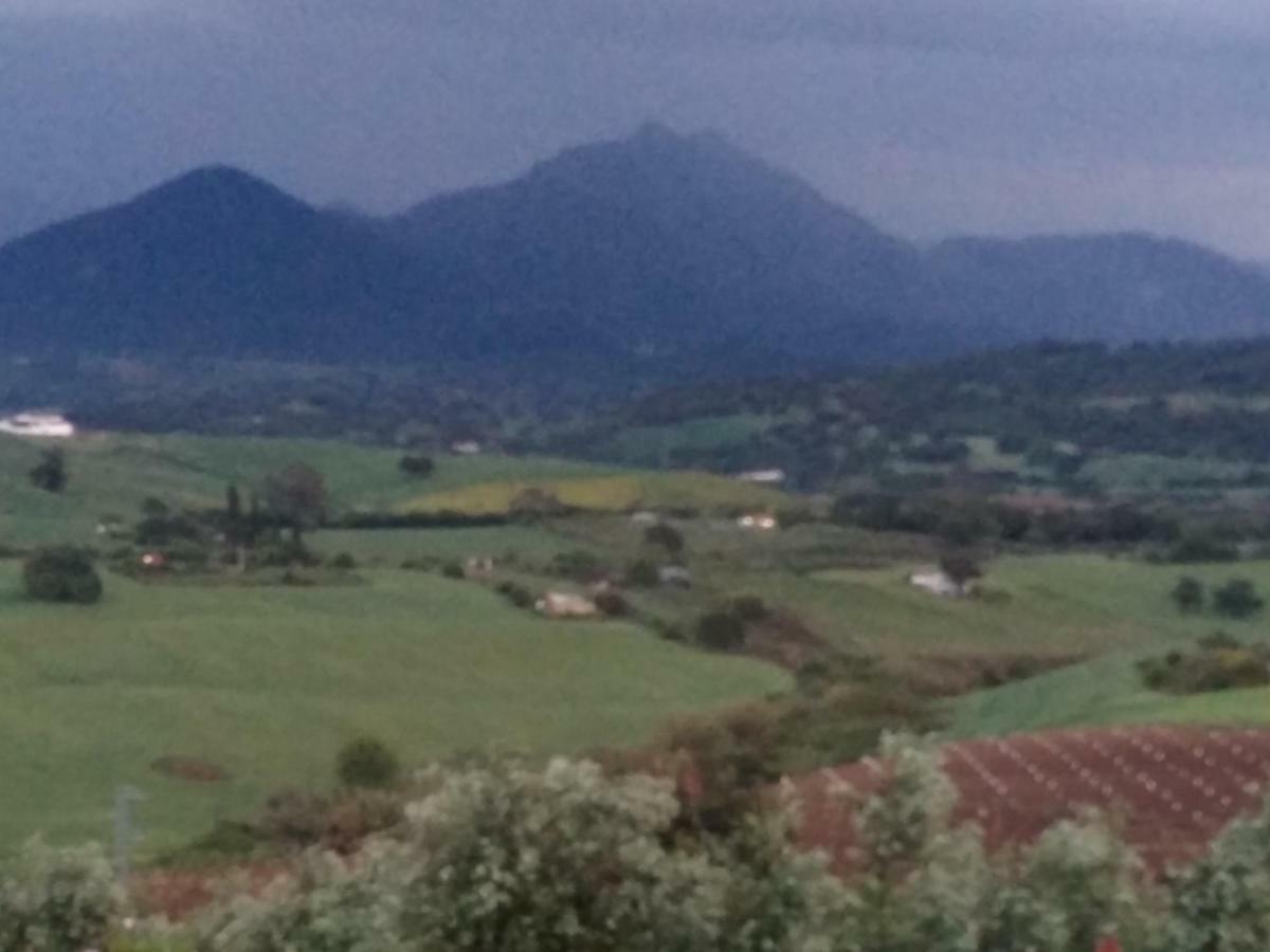 Los Tres Picos Prado Del Rey Zewnętrze zdjęcie